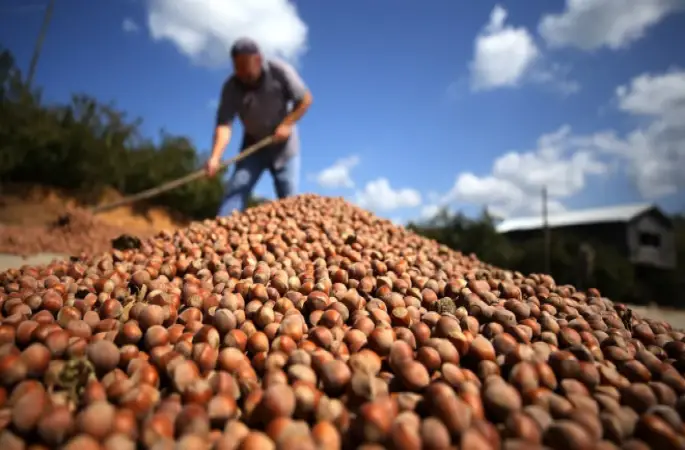 16 milyon insanın yaşadığı İstanbul'da, üreticiler 50 yıldır kentin ekonomisine katkı sunuyor.