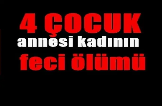 Eşinin kestiği ağacın altında can verdi.