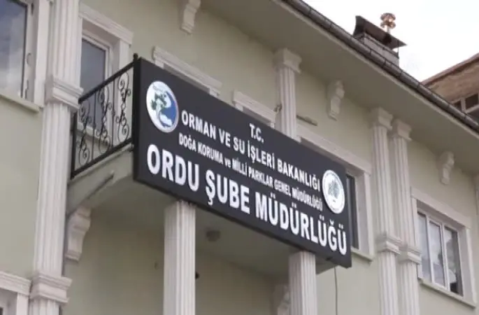 Yaban Hayvanları Tahnit Çalışmasıyla Gelecek Nesillere Taşınıyor