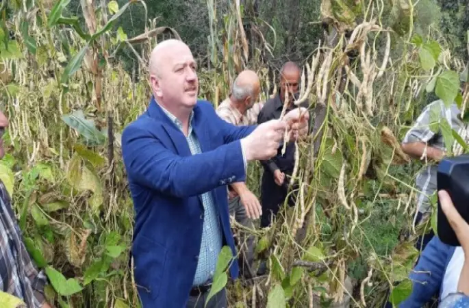 FASULYESİNİN SU SORUNU ÇÖZÜLÜYOR