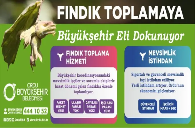FINDIKTA  İŞÇİLER  BÜYÜKŞEHİRDEN