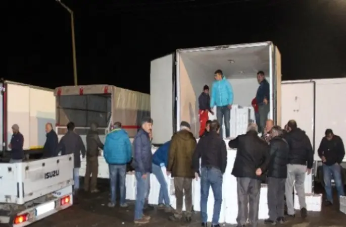 Balık Halinde Kıyasıya Rekabet