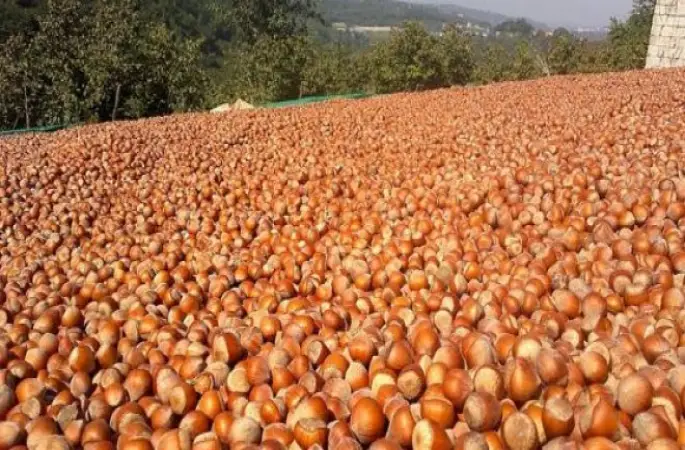 Bekledik Yine Mi Bekleyelim?