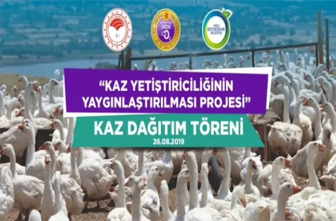 40 Çiftçiye 4000 Kaz