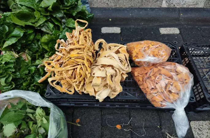 Bu Kurular Yok Satıyor! Elma ve Kabak Kurusuna Büyük İlgi