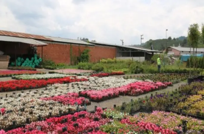 BU SERALAR FABRİKA GİBİ ÇALIŞIYOR