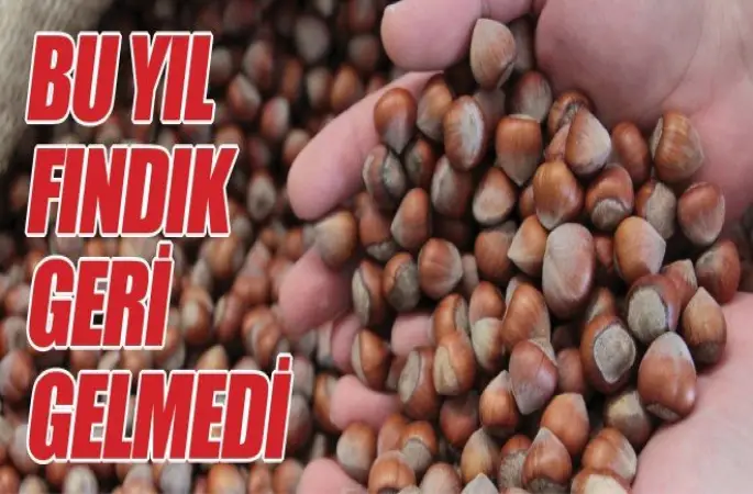 Bu Yıl Fındık Geri Gelmedi