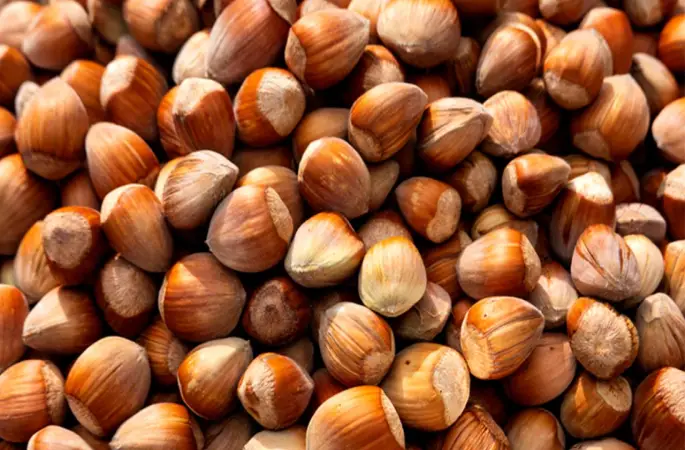 Bunu yapmayana fındık parası yok!