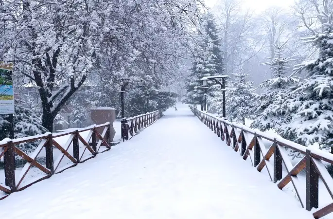 Büyükşehir Ekipleri Ulaşım İçin Seferber Oldu