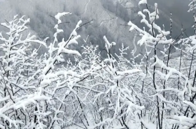 Kar Yağışına Hazırlıksız Yakalandılar