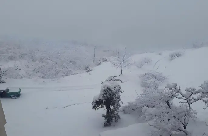 Çamaş İlçesinde Eğitime Kar Engeli