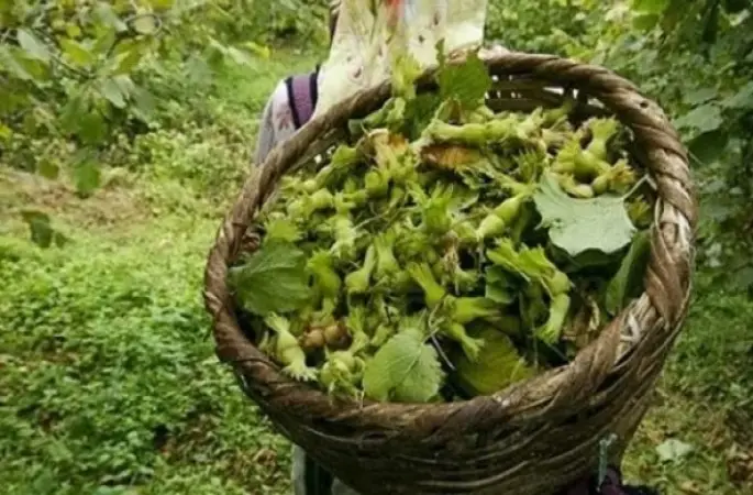 Valilikten Önemli Uyarı !