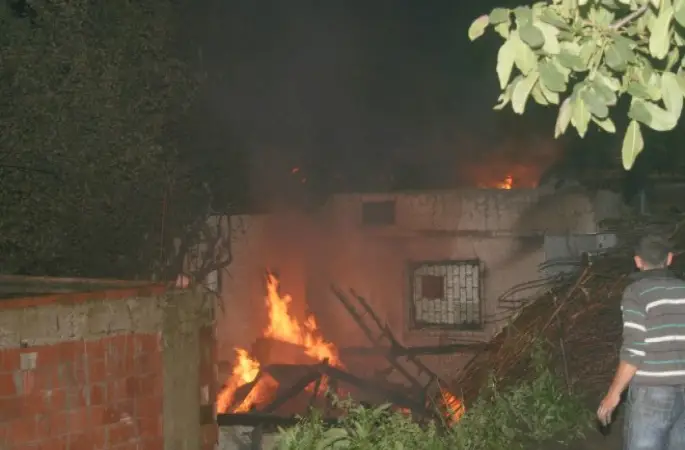 Ordu'da 3 Ev Yandı, 5 Büyükbaş Hayvan Telef Oldu