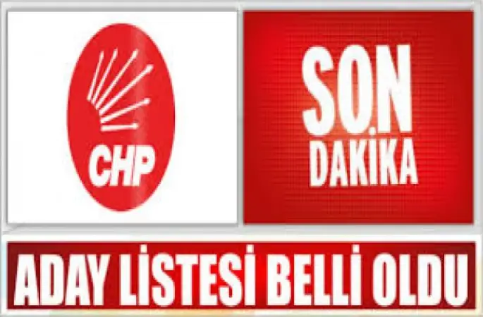 CHP'NİN MİLLETVEKİLİ ADAYLARI 