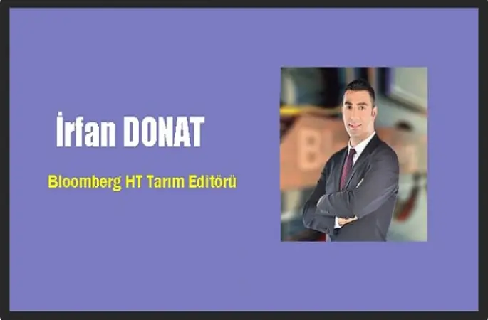 Fındık üreticisi fiyat bekliyor.