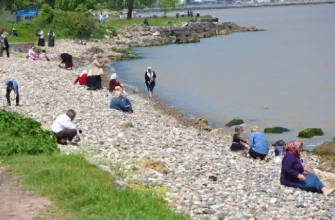 Fatsa'da 'Mayıs Yedisi' Geleneği Yapıldı