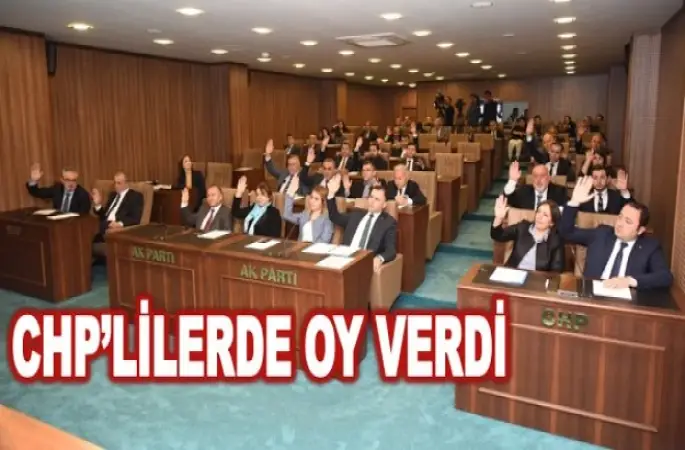 OY BİRLİĞİYLE KABUL EDİLDİ