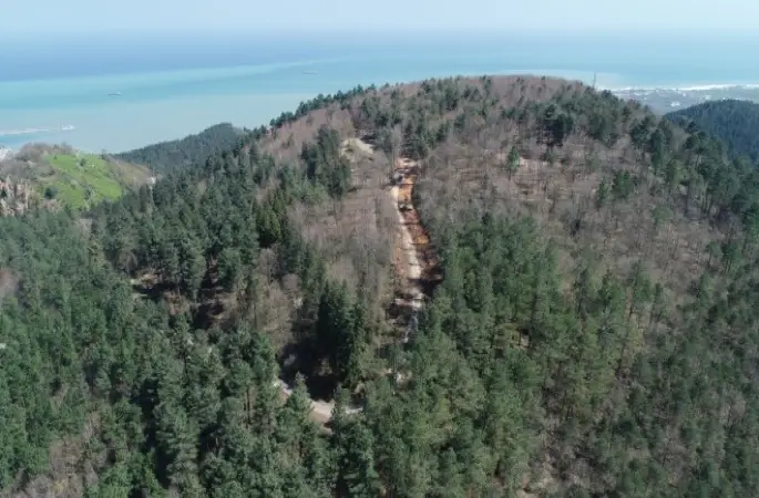 Asarkaya Kent Ormanı Yolu Genişliyor