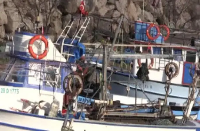 Hamsi Fiyatı Yükselmeden ve Bol İken Tüketin" Önerisi