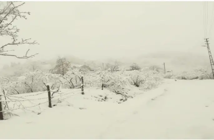 Ordu'da  Beyaz Örtü