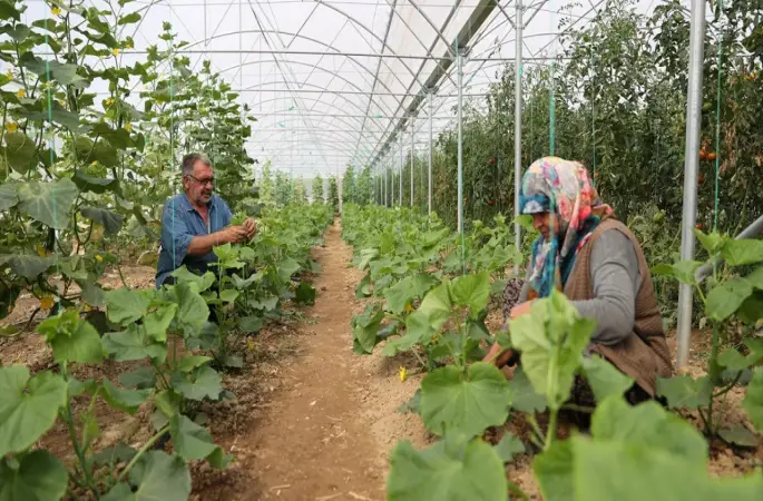 Doğal üretimle geçinen çift bahçesini devlet desteğiyle geliştirdi