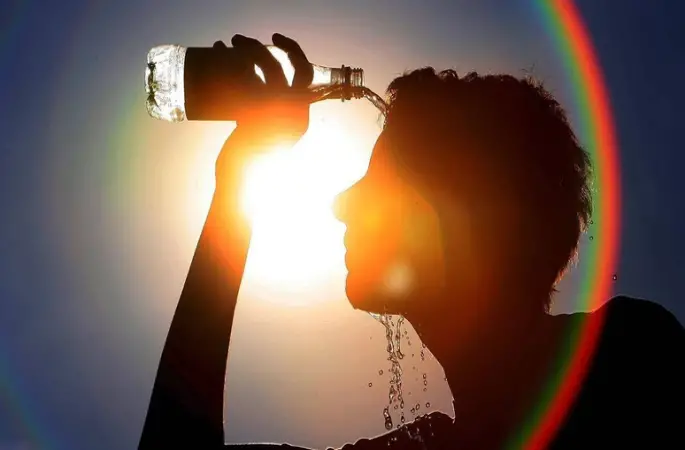 Dünya 2024'te En Sıcak Yazı Yaşadı