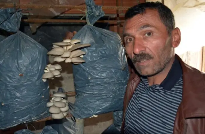 Ek Gelir Olsun Diye Başladı, Şimdi Para Basıyor