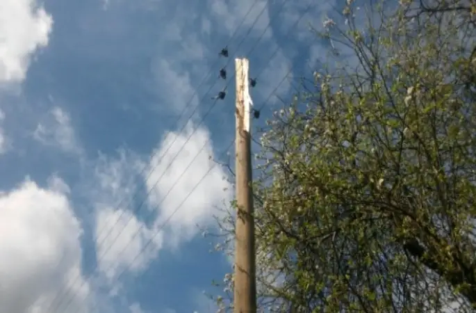 Elektrik Direğine Yıldırım Düştü