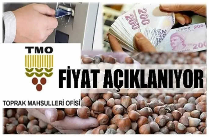 TMO fındık alım fiyatını açıklamaya hazırlanıyor