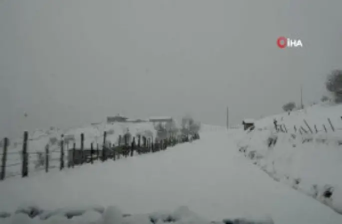 Ordu'da Yaylada Mahsur Kalan 6 Kişi Kurtarıldı