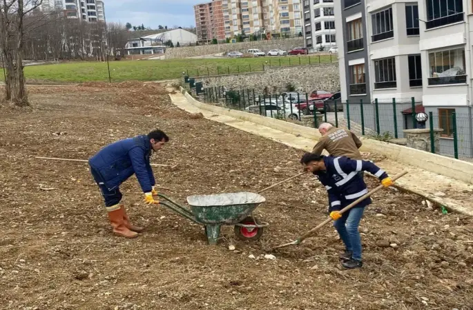 Fatsa Belediyesi'nin Sahadaki Çalışmaları Devam Ediyor