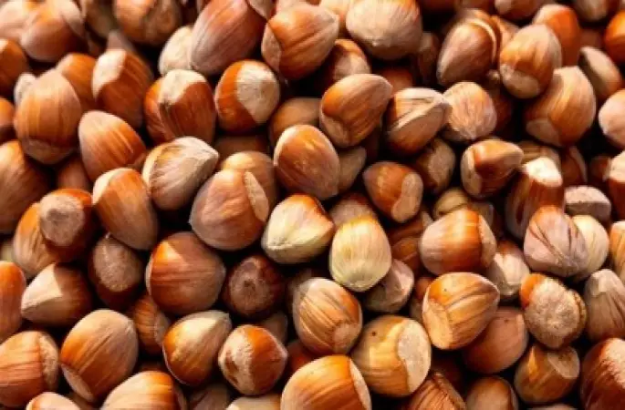 Fındık 100 Lirayı Geçecek