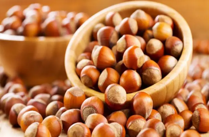 Fındık Fiyatı 9 Liraya Geriledi