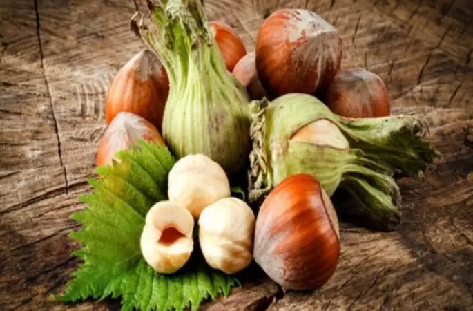 Fındık fiyatı Giresun ve Ordu Ticaret Borsası'nda ne kadar oldu? Fındık fiyatı ne kadar?