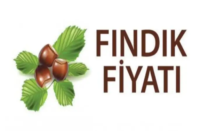 Fındık Fiyatları 10.05.2016