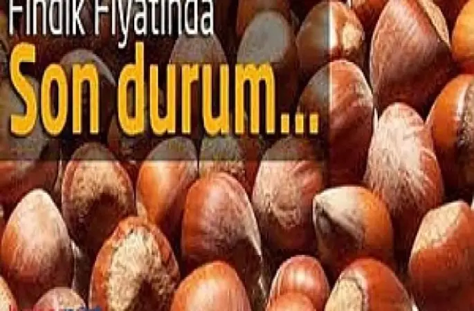 Fındık Fiyatları Güncel Samsun, Ordu, Giresun Fındık Borsası Fiskobirlik Güncel Fiyatlar - Fındık Fiyatları Ordu