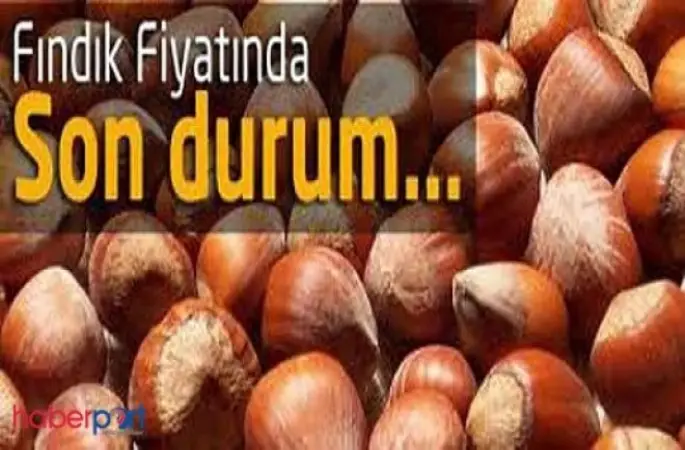 Fındık Fiyatları Güncel Samsun, Ordu, Giresun Fındık Borsasında Güncel Fiyatlar - Fındık Güncel Fiyat - 17 Ocak 2016 Pazar - Geleceğin Jönü
