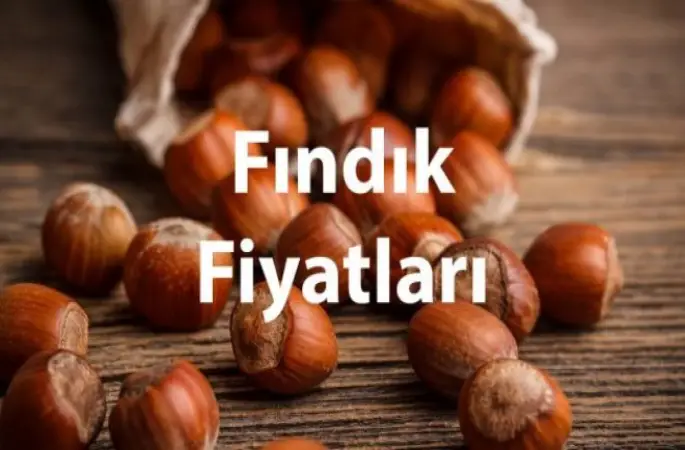 Fındık Fiyatları