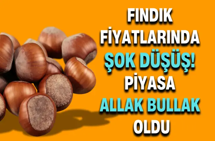 Fındık Fiyatlarında Şok Düşüş! Piyasa Allak Bullak Oldu