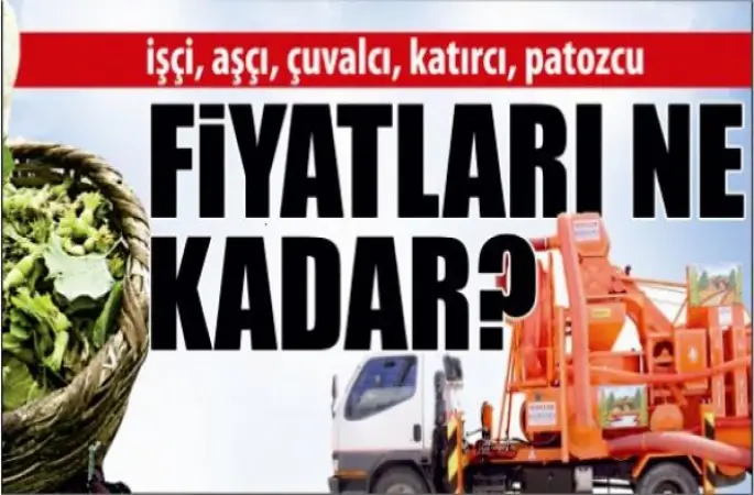 Fındık Hasadında İşci Üçretleri Belirlendi