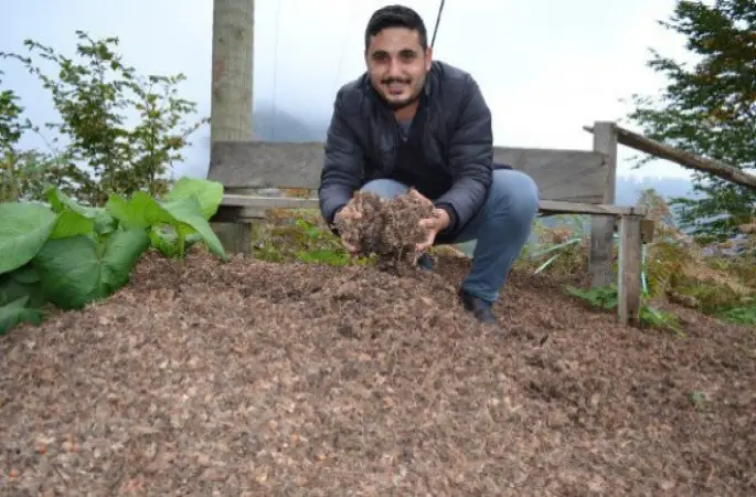Fındık Kapsülü Enerji Deposu