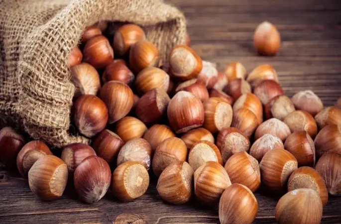 Fındık Piyasasında Güncel Fiyatlar