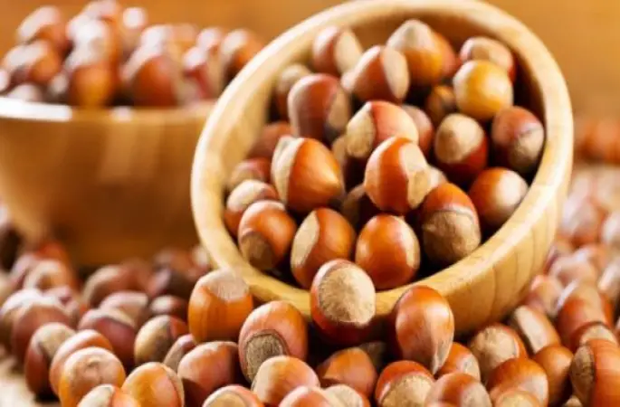 Fındık Saraya Taşındı!