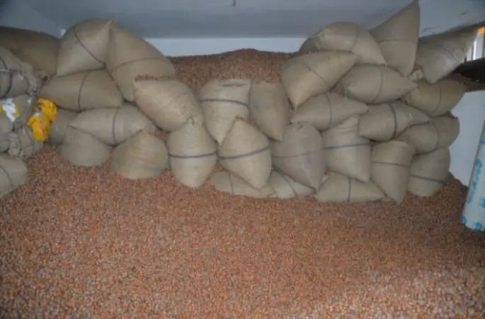 Fındıkta Lisanslı Depoculuğa Geçilmesi Çalışmaları