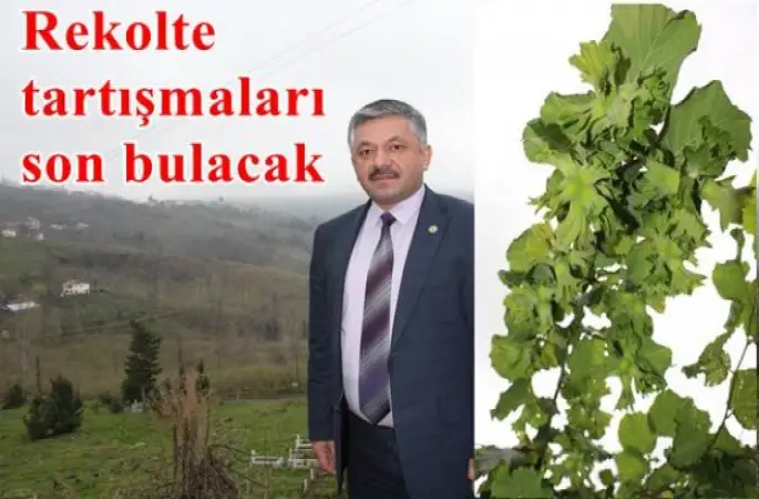 Fındık da Rekolte Belirleniyor