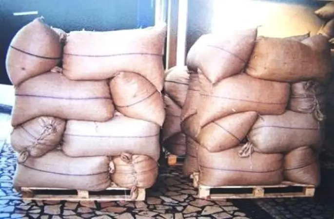 FINDIKTA REKOR KIRAN 20 FİRMADAN 8'İ ORDU'DAN