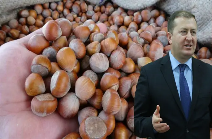 Fındıkta Serbest Piyasa TMO Fiyatını Geçer