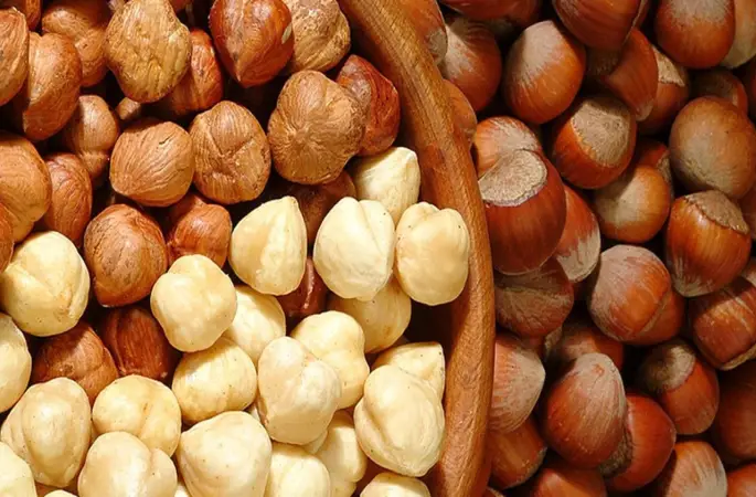 Fiskobirlik’ten Fındık Fiyatlarına Yeni Zam!