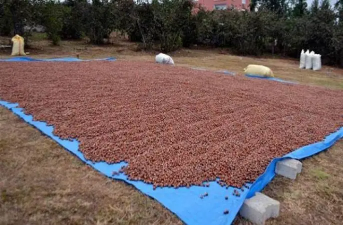 Fiyatlar Artmamak İçin Direniyor !