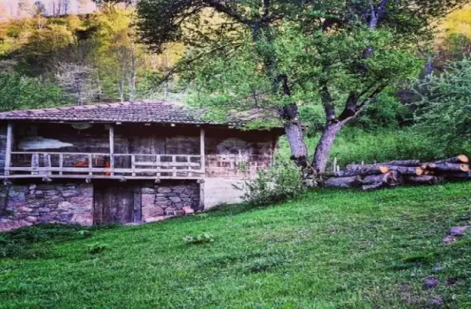 İki kardeş bir saat arayla öldü